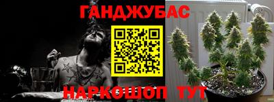 прущие грибы Бузулук