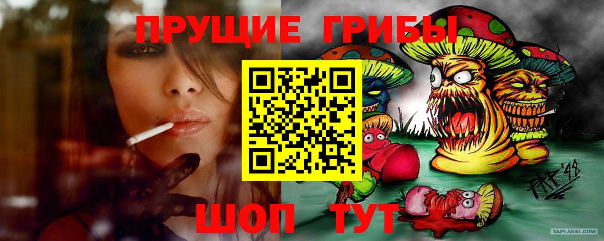 Псилоцибиновые грибы Psilocybe Котовск
