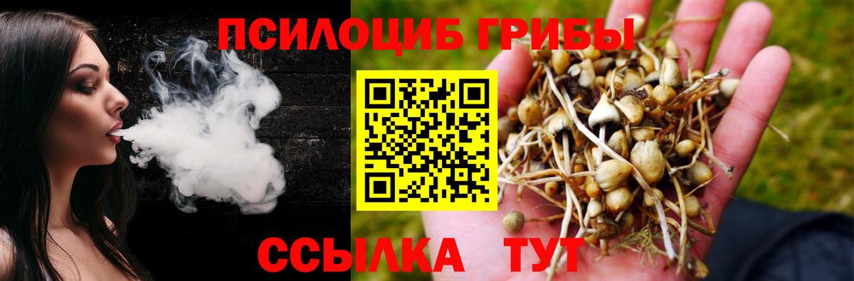 Галлюциногенные грибы Psilocybine cubensis  Вход с VPN  Галлюциногенные грибы мицелий  Котовск 