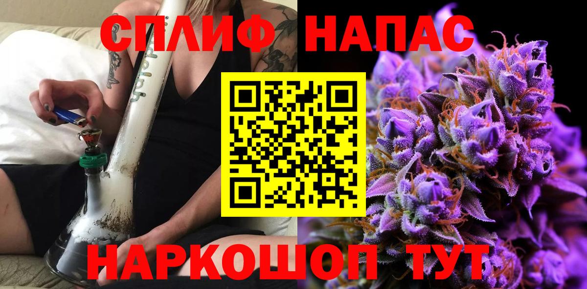 Бошки Шишки MAZAR Котовск